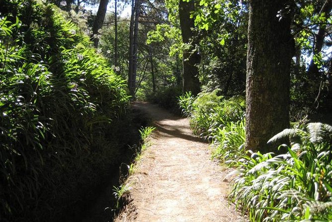 Paradise Valley - Levada Walk - Key things I’d circle before you book