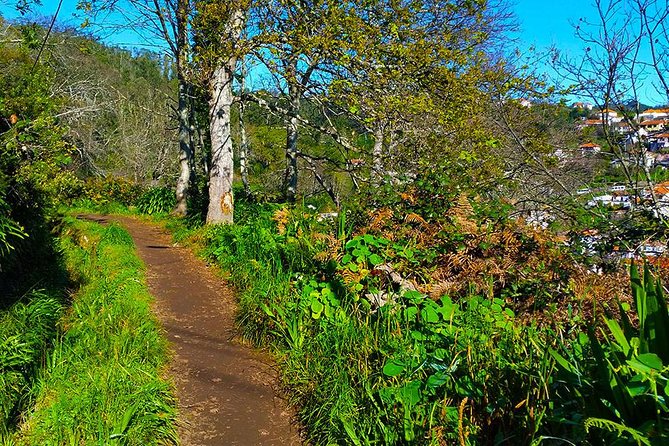 Paradise Valley - Levada Walk - Viewpoints Over Funchal and Camacha: Nice, Not the Main Event