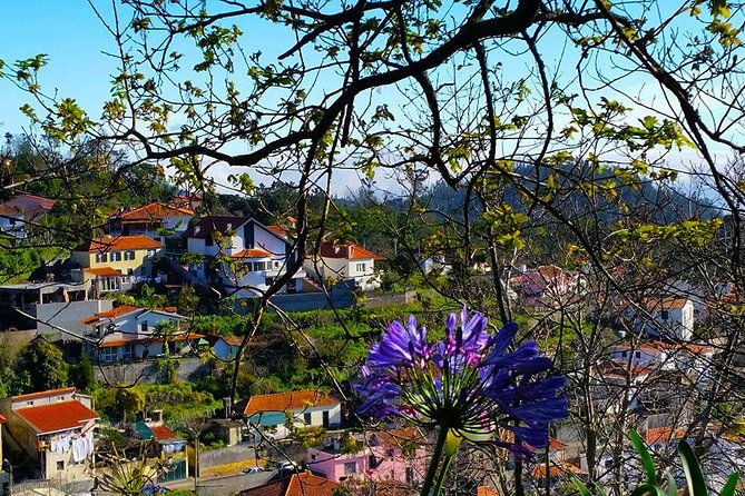 Paradise Valley - Levada Walk - Camacha Finish: Handicrafts, Culture, and a Real Local Stop
