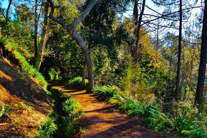 Paradise Valley - Levada Walk - What the Morning Adds Up To: Timing, Pace, and Group Size