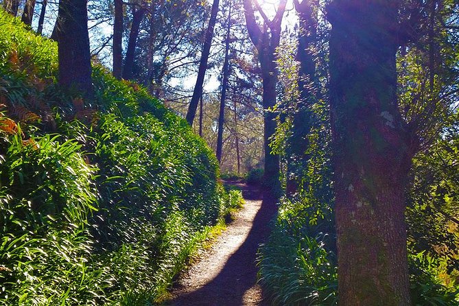 Paradise Valley - Levada Walk - Tips to Make It Go Smoothly (Even If Weather Turns)