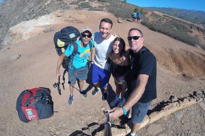 Paragliding Epic Experience in Tenerife with the Spanish Champion Team - Price and Value: Why $156.18 Can Make Sense