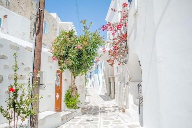 Paros & Antiparos Full-Day Discovery Guided Tour in English - What to pack and how to use your free time smartly