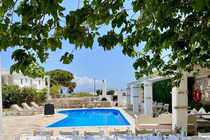 Paros: Cooking Class with Greek Meal & Wine - Lunch, communal tables, and the house-wine pacing