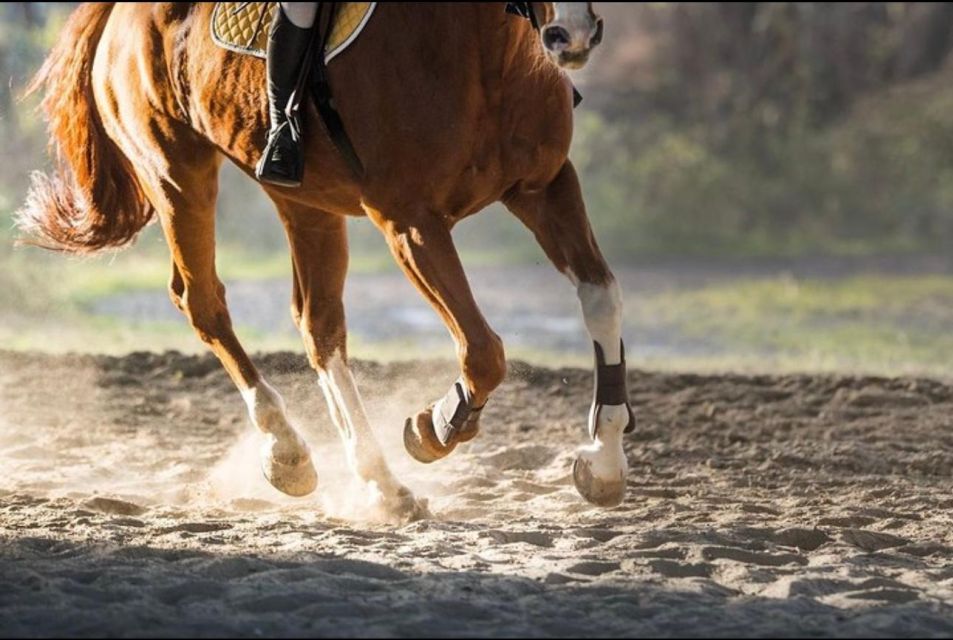 Paros: Morning Island Horseback Riding Adventure - Why Paros horseback riding is a smart use of your time