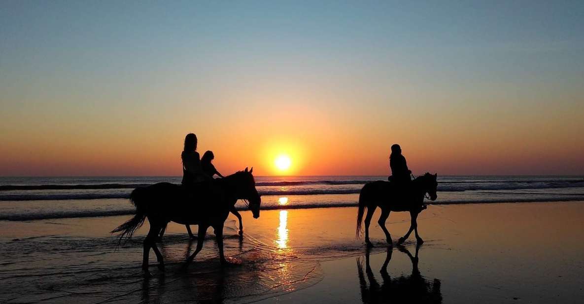 Paros: Morning Island Horseback Riding Adventure - The route around Paroikia: trails, fields, and valley views