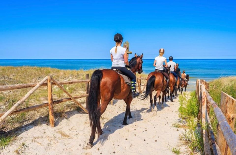 Paros: Morning Island Horseback Riding Adventure - The role of your guide: safety, encouragement, and personality