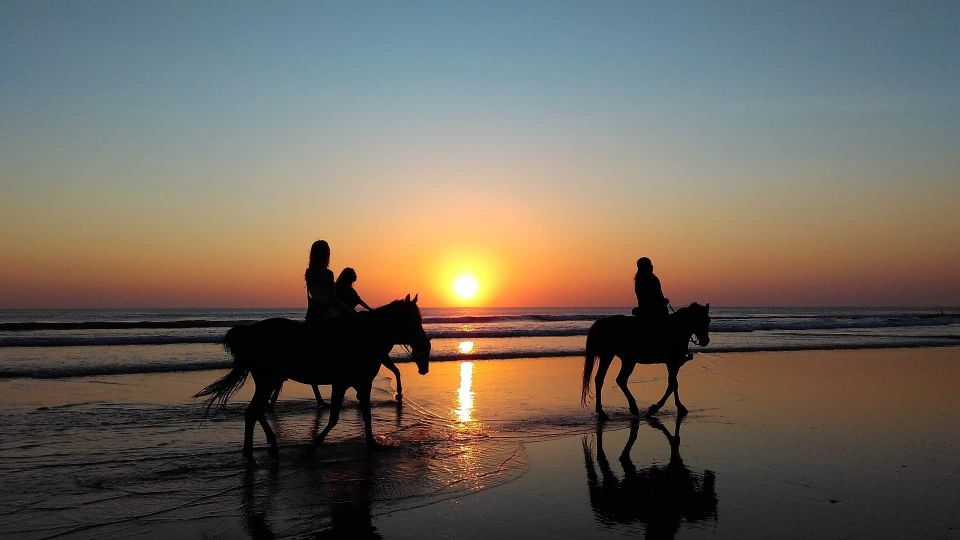 Paros: Morning Island Horseback Riding Adventure - Who this ride is best for (and who should skip it)