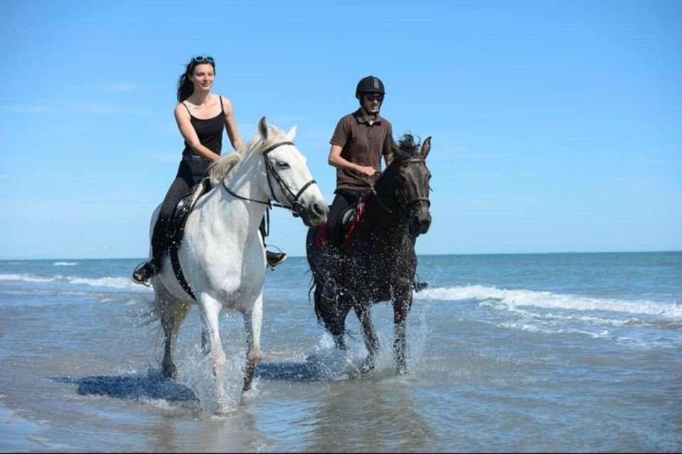 Paros: Morning Island Horseback Riding Adventure - Learning to ride without feeling thrown in the deep end