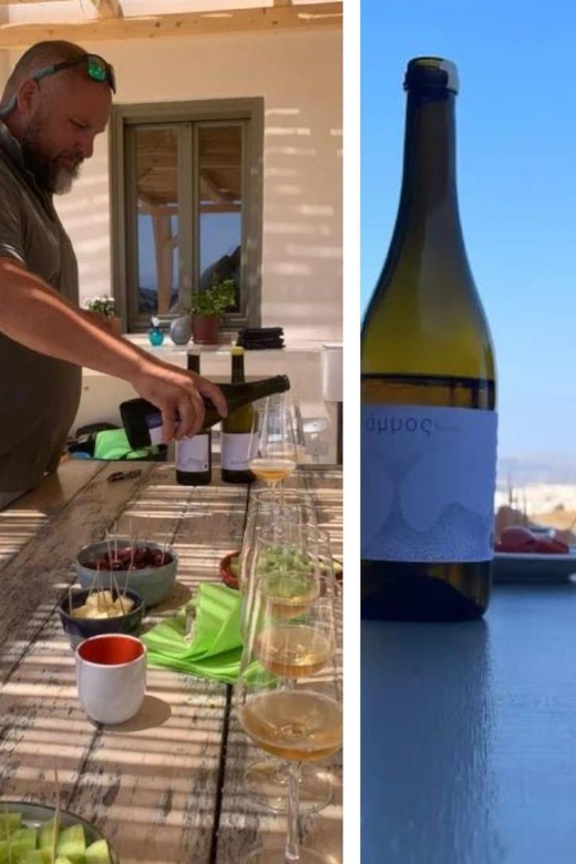 Paros: Wine tasting at Local Winery - Key Highlights at Domaine Myrsini (Paros)