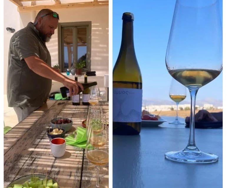 Paros: Wine tasting at Local Winery - Who this Paros wine tasting is best for