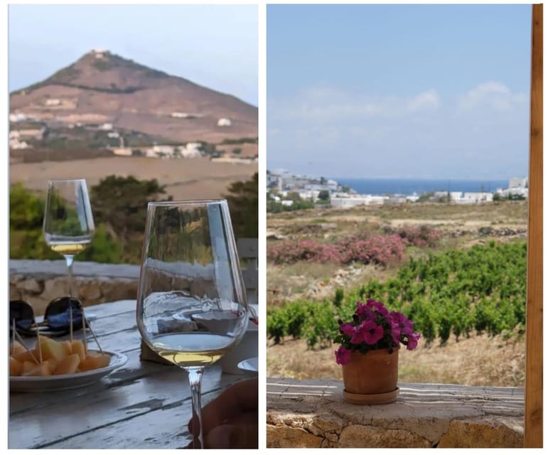 Paros: Wine tasting at Local Winery - Timing tips: plan it as a calm anchor, not a rushed stop