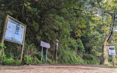 Pico do Arieiro in 4h: Immersive Private Experience (Cabrio) - Private cabriolet and timing: fast access, not a long slog