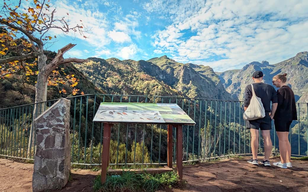 Pico do Arieiro in 4h: Immersive Private Experience (Cabrio) - Funchal Natural Reserve and Ecological Park: UNESCO vibes in real time