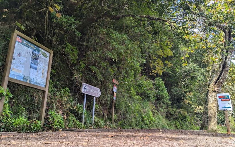 Pico do Arieiro in 4h: Immersive Private Experience (Cabrio) - Private cabriolet and timing: fast access, not a long slog