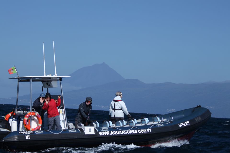 Pico Island: Azores Whale & Dolphin Watching on Zodiac Boat - What the 10-minute safety briefing really means for you