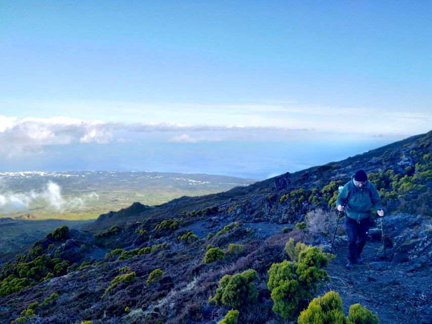 Pico island: Climb Mount Pico, highest mountain in Portugal - Into the Natural Reserve: native vegetation and geology you can actually spot