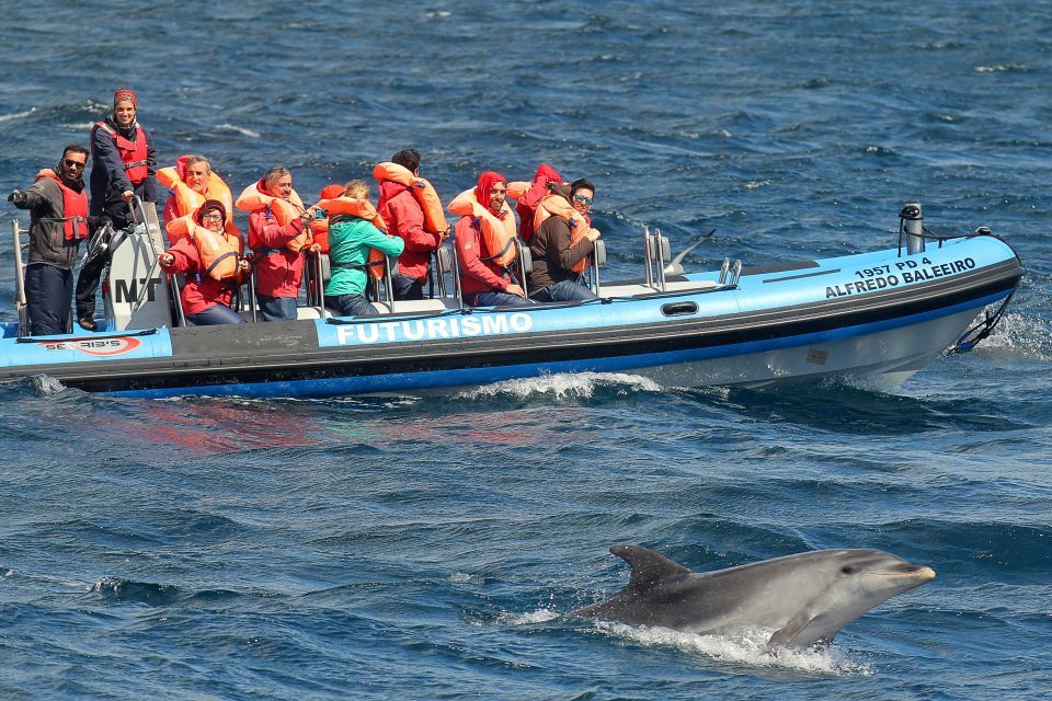 Pico Island: Whale Watching Experience from Lajes - Guides on board: the names you may hear and why it matters