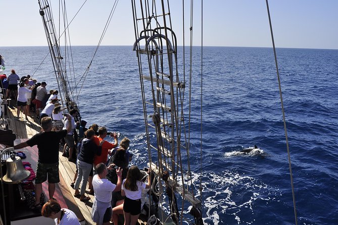 Pirate Adventure Boat Tour with Lunch in Fuerteventura - Lunch and drinks at sea: what’s included and what to plan for