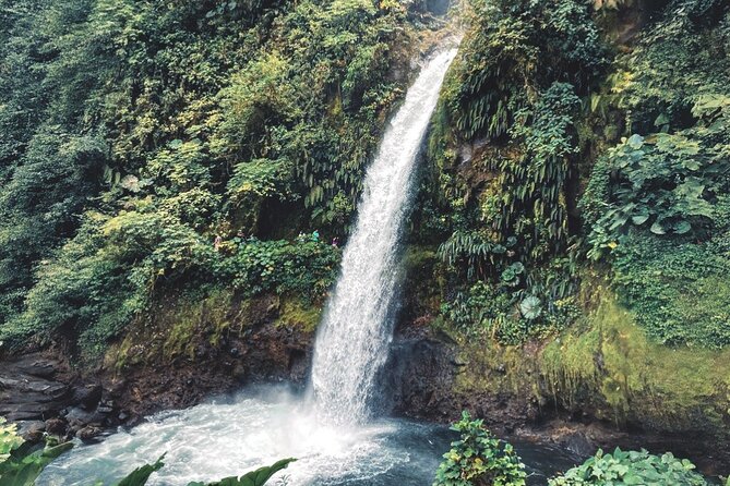 Poás Volcano and Coffee Tour with Tasting and La Paz Falls - An early start that matters for Poás Volcano