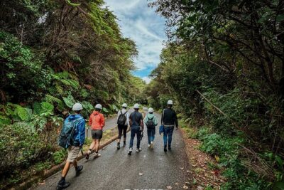Poás Volcano and Coffee Tour with Tasting and La Paz Falls - Stop in San Jose’s rural rhythm: strawberries, dairy, and quick sights