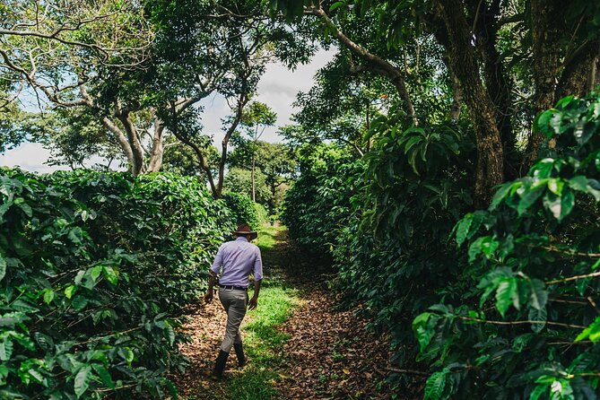 Poás Volcano and Coffee Tour with Tasting and La Paz Falls - Who should book this tour (and who should skip it)