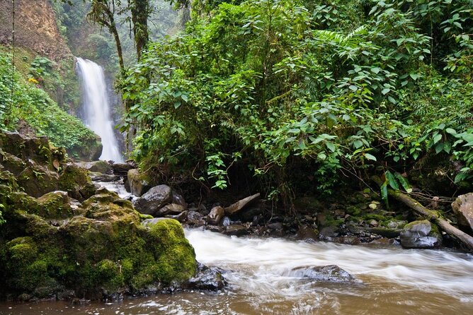 Poas Volcano + Coffee Plantations & La Paz Waterfall Gardens Trip from San Jose - Key highlights to know before you go