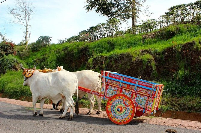 Poas Volcano + Coffee Plantations & La Paz Waterfall Gardens Trip from San Jose - Who should book this Poás + Coffee + La Paz day trip