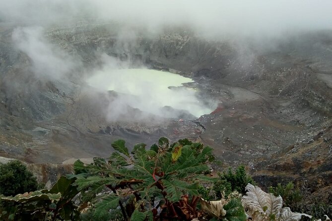 Poas Volcano waterfalls and coffee tour from from San Jose - Quick hits