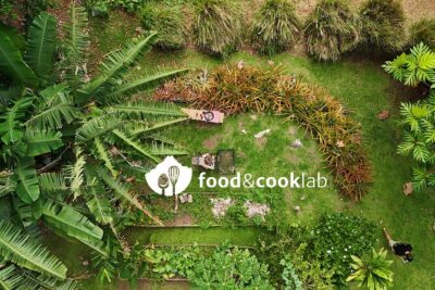 Polynesian culinary experience - What You Actually Cook: Poisson Cru, Tuna, and Banana-Leaf Techniques