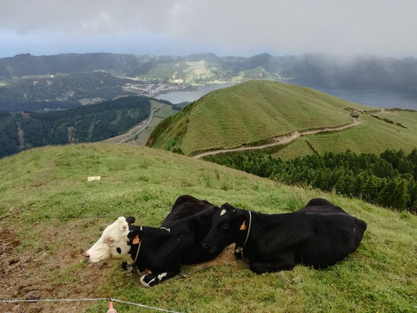 Ponta Delgada: Full-Day Sete Cidades 4X4 Tour with Lunch - Who should book this tour (and who might prefer something else)