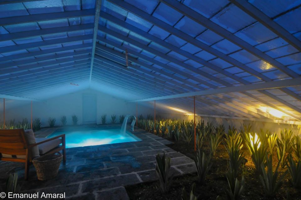 Ponta Delgada: Greenhouse Hot Tube with Pineapple Tour - A Pineapple Greenhouse Hot Tube in São Miguel’s Weather Sweet Spot