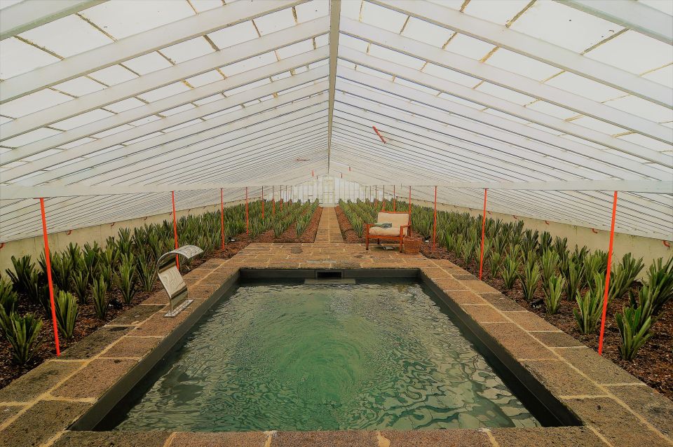 Ponta Delgada: Greenhouse Hot Tube with Pineapple Tour - Herdade do Ananás Check-In: Parking and the Easy Start at 3pm