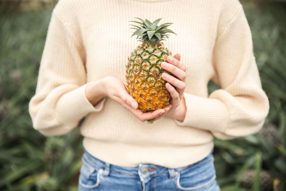 Ponta Delgada: Greenhouse Hot Tube with Pineapple Tour - The 5pm Pineapple Tour: Production Lessons, a Pineapple Photo Moment, and an English Guide