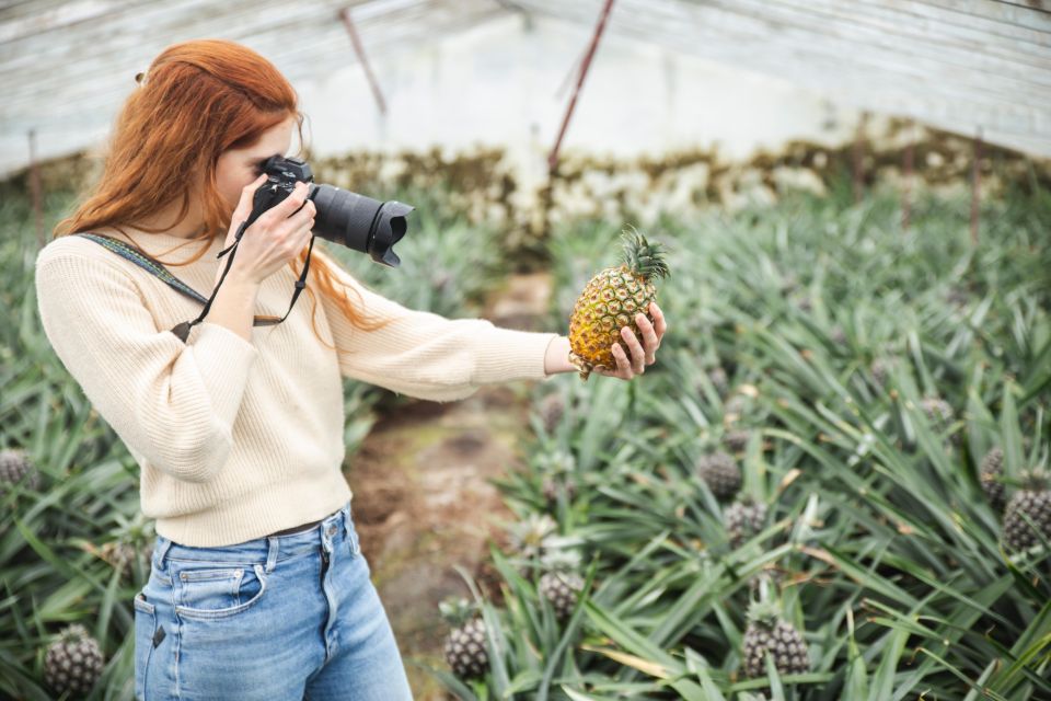 Ponta Delgada: Greenhouse Hot Tube with Pineapple Tour - Should You Book the Greenhouse Hot Tube with Pineapple Tour?