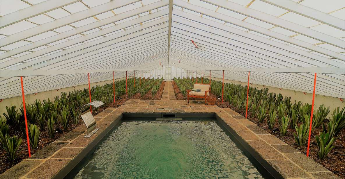 Ponta Delgada: Greenhouse Hot Tube with Pineapple Tour - The 3pm Hot Tube Session: Relax in 36°C Water Among Pineapple Plants