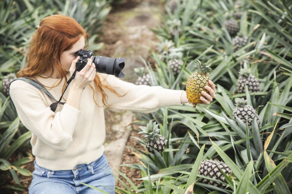 Ponta Delgada: Pineapple wine tasting and pineapple tour - Pineapple wine tasting with local cheeses: what to expect and how to enjoy it