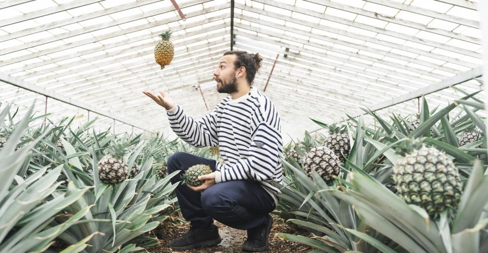 Ponta Delgada: Pineapple wine tasting and pineapple tour - What that included bottle really means for your budget