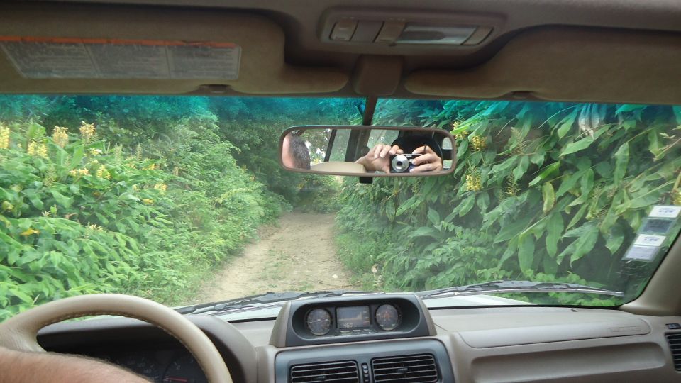 Ponta Delgada: Private Full or Half-Day 4x4 São Miguel Tour - Ribeira Grande and Caldeiras: volcanic activity that feels real