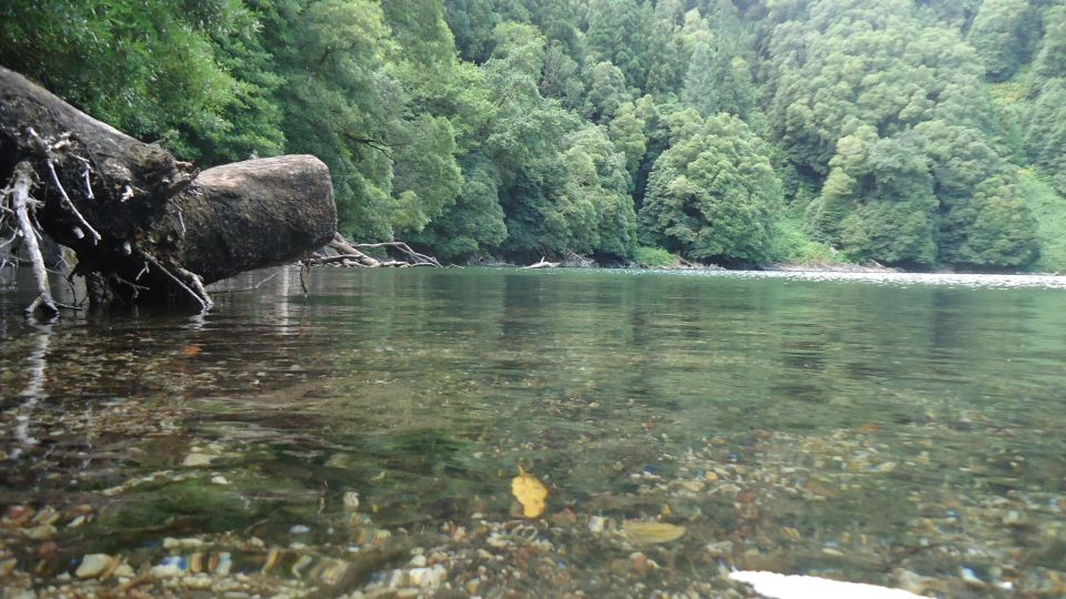 Ponta Delgada: Private Full or Half-Day 4x4 São Miguel Tour - How the 4x4 trails and short hikes work in real life