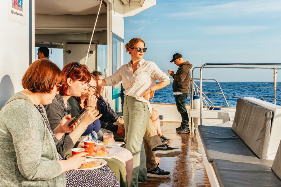 Port d'Alcudia: Sunrise at Sea & Dolphin Watching Boat Tour - Why This Alcúdia Sunrise Dolphin Tour Works (Even Before You See a Dolphin)