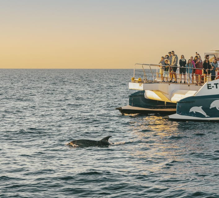 Port d'Alcudia: Sunrise at Sea & Dolphin Watching Boat Tour - Getting to the Boat in Alcúdia: What to Expect at the Meeting Point