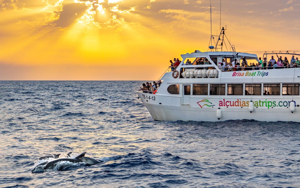 Port d'Alcudia: Sunrise at Sea & Dolphin Watching Boat Tour - Sunrise Stop: Where to Stand for the First Light
