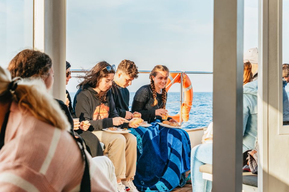 Port d'Alcudia: Sunrise at Sea & Dolphin Watching Boat Tour - Dolphin Watching: How You Get Close Without Getting in Their Space