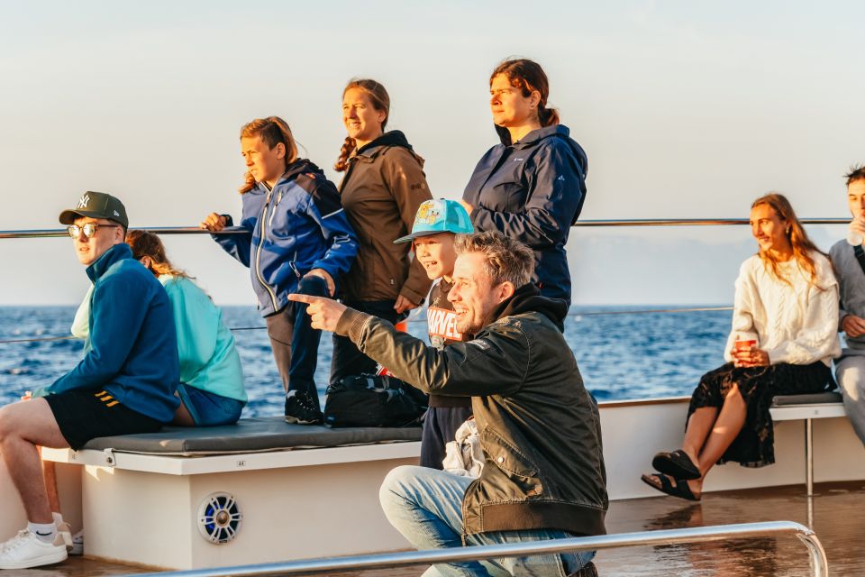 Port d'Alcudia: Sunrise at Sea & Dolphin Watching Boat Tour - Weather, Cold, and Sea Conditions: The Part I Plan for