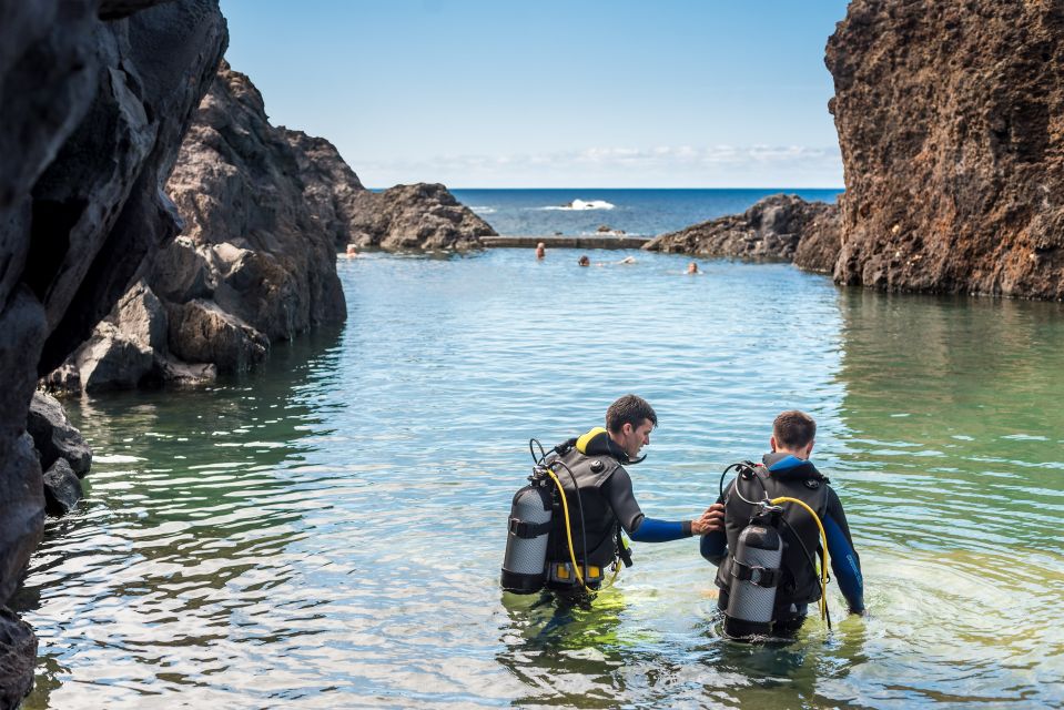 Porto Moniz: Diving with Sharks and Rays in Madeira Aquarium - Price and value: is $159 for 3 hours fair?