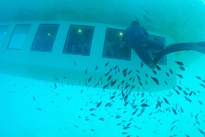 Poseidon Submarine At Mandraki Harbor - Where you start at Mandraki Harbor (and what to expect)
