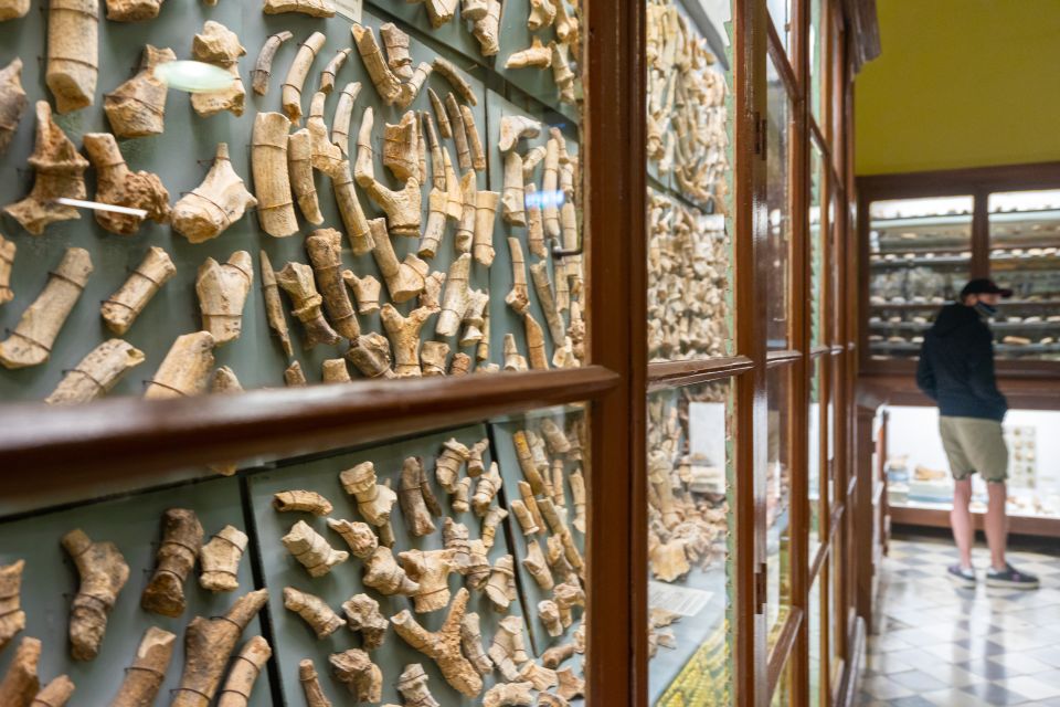 Prehistoric Temples of Malta Tour - Key things to know before you go