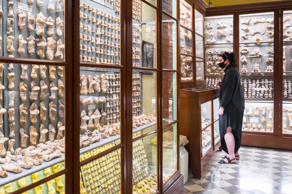 Prehistoric Temples of Malta Tour - Ghar Dalam Cave & Museum: prehistoric animals, not just a cave