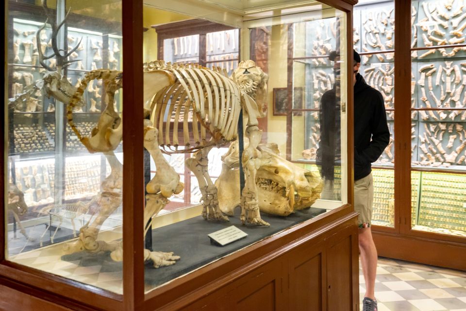 Prehistoric Temples of Malta Tour - Price and logistics: getting value for $59